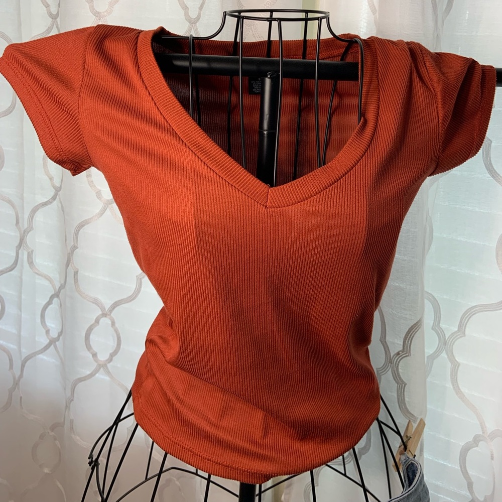 Burnt orange crop top shirt